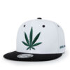 White-Green
