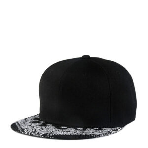 embroidered snapback hat